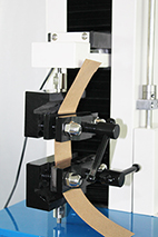 1636509221188922.png image.png